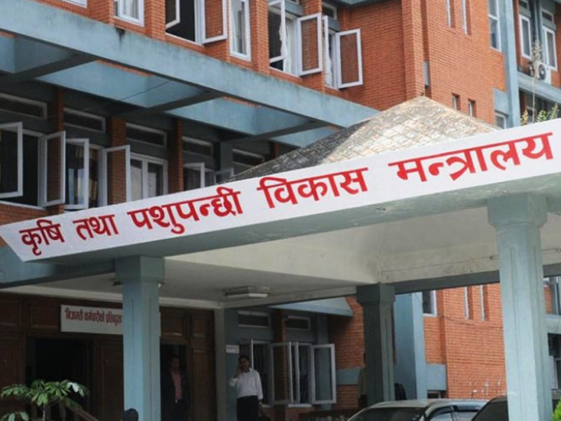 भारतीय किसानले प्रयोग गर्न नरुचाएको नेनो युरिया नेपाली माटोमा उपयोगी होला ?