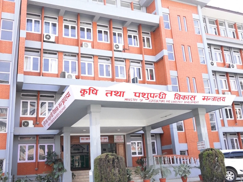 अनुदान रकमले मलको अभाव नटार्ने कृषि मन्त्रालयकाे दाबी, थप ४५ अर्ब चाहिने
