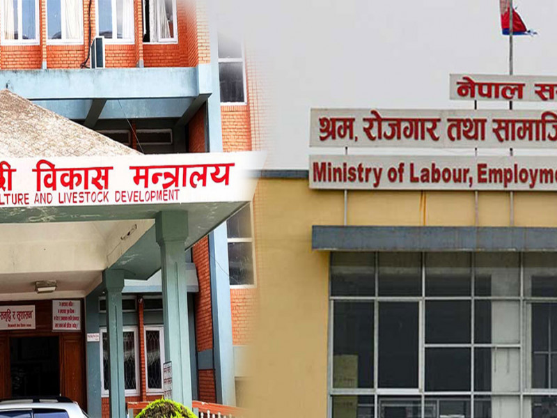 श्रम र कृषि मन्त्री नहुँदा मन्त्रालयका महत्त्वपूर्ण योजना प्रभावित