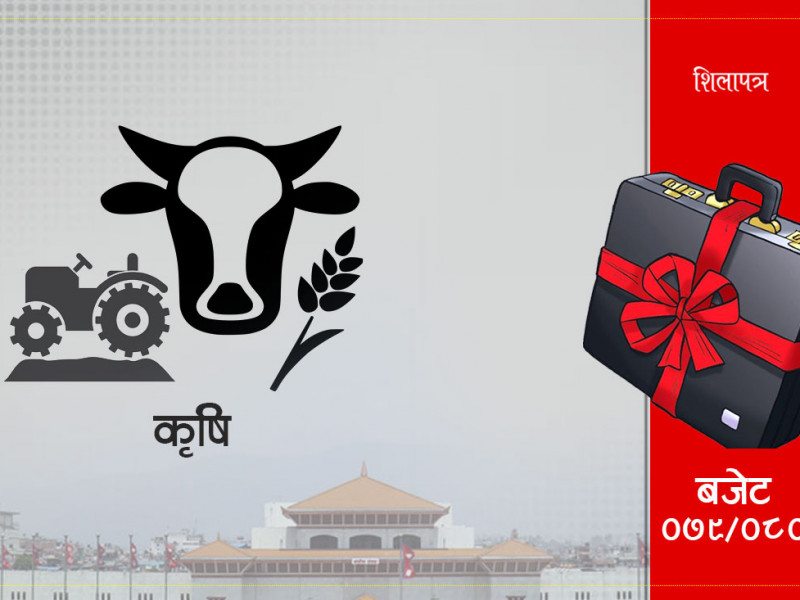 बजेटमा कृषिलाई निर्यातमुखी र रोजगारी सिर्जनामा जोड, सुध्रिएलान् प्रधानमन्त्री जाेडिएका कार्यक्रम ?