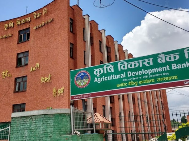 कृषि विकास बैंकले माग्याे १५२ कर्मचारी, शाखा प्रमुखदेखि लेखापालसम्म