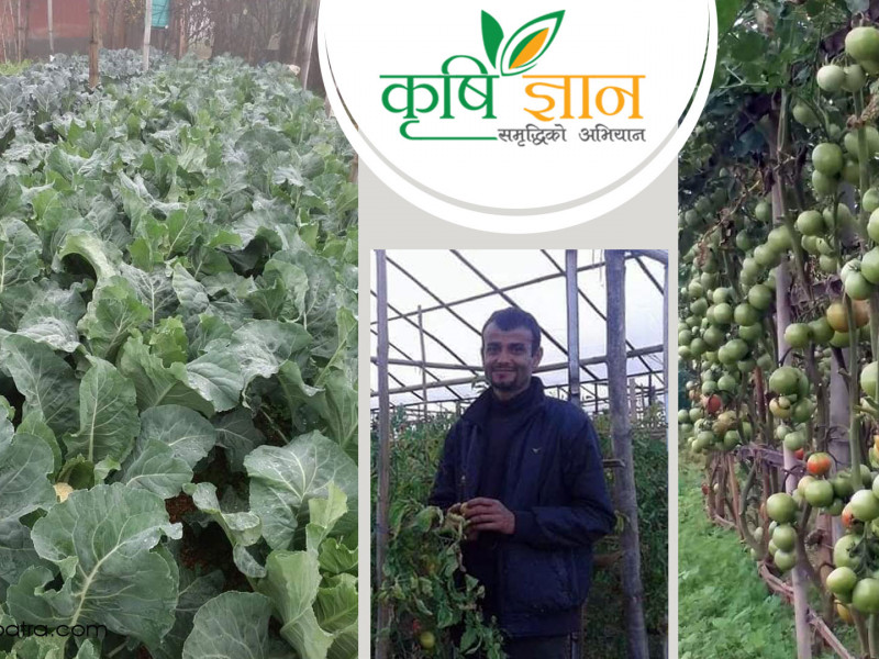 पहिले विदेश जाऊँ भन्ने साथीहरू अहिले उनकाे फार्ममा टनेल हेर्न आउँछन्