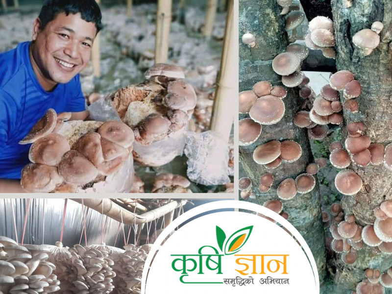 ‘कृषिमा छरिएको छ पैसा, टिप्ने ज्ञान मात्र नभएको हो’