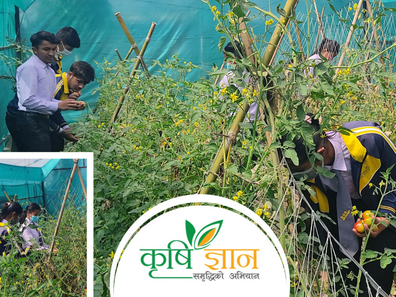 रमाउँदै पढेर कमाउँदै गरेका विद्यार्थीहरू