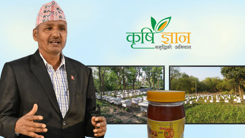 अफगानिस्तानको द्वन्द्व भोगेका पूर्वसुबेदार बस्नेत माहुरीपालनमा रम्दै 