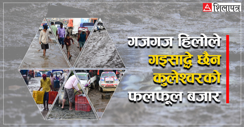 हिलोले यस्तो विजोग छ- कुलेश्वरको फलफूल बजार (तस्वीरहरू)