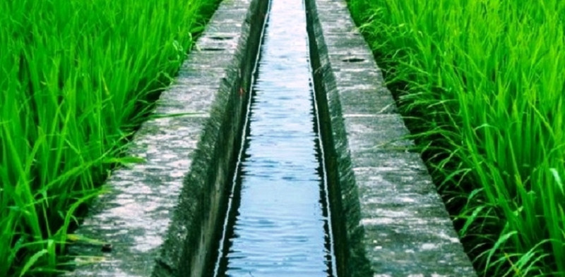 ३ करोड लागतमा बन्यो सिँचाइ कुलो, ८१ हेक्टर क्षेत्रमा सिँचाइ सुविधा