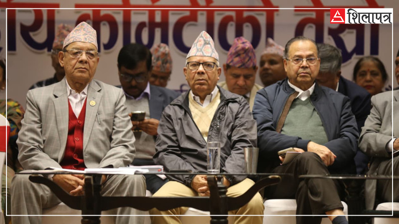 दलहरूकै सहमतिमा सुशीला कार्कीलाई प्रधानमन्त्री बनाएको माधव नेपालको खुलासा