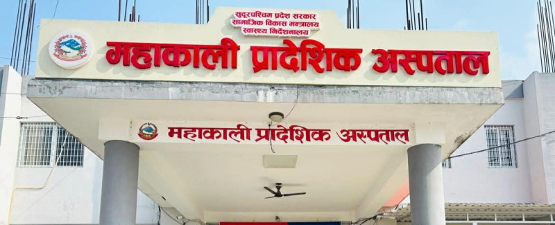कञ्चनपुरमा कुकुर आतंक,  एकैदिन १६ जना घाइते