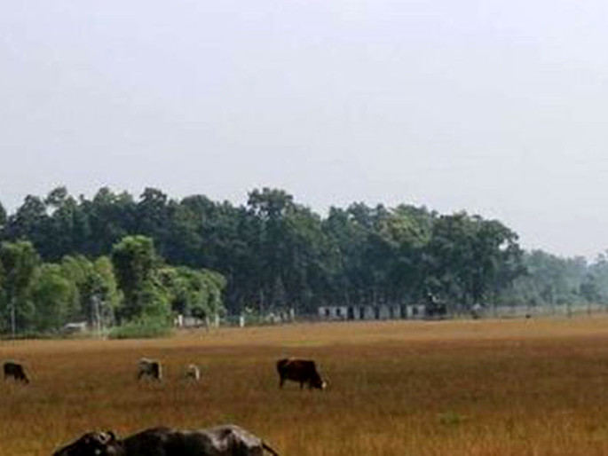 गौचरनमा परिणत महेन्द्रनगर विमानस्थल पुनः सञ्चालनमा आउने