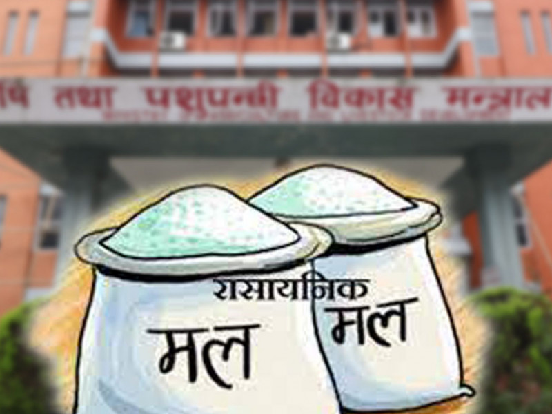 सरकारले घटायो रासायनिक मलमा दिँदै आएको अनुदान, बढ्यो मूल्य
