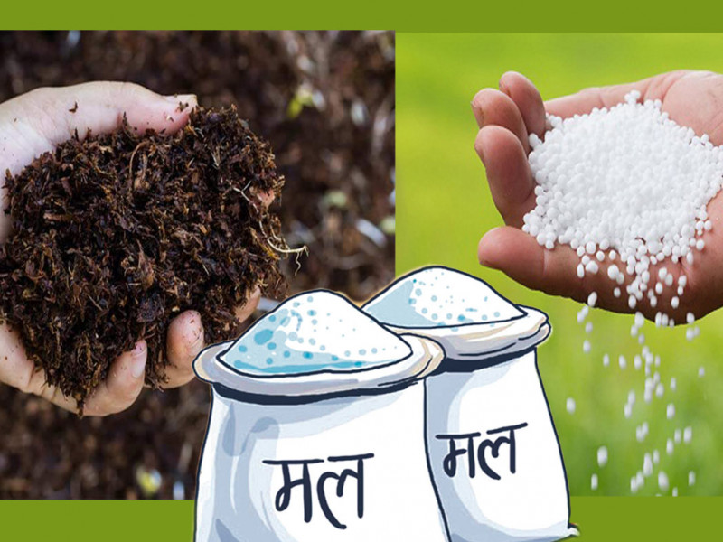 रासायनिक मल प्रतिस्थापन गर्न १५ लाख मेट्रिकटन प्राङ्गारिक मल आवश्यक, के सम्भव छ ?