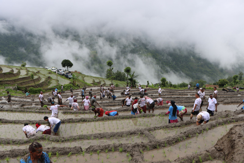 आज यी प्रदेशमा हुनेछ भारी वर्षा