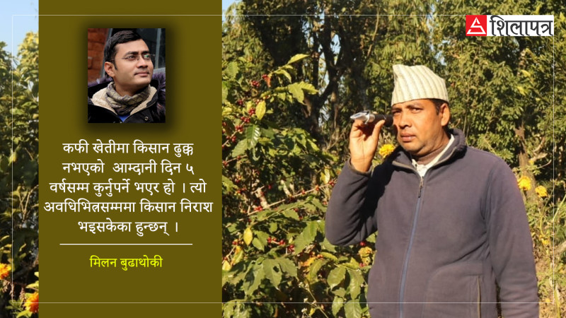 शहरको घर  धराैटीमा राखेर गाउँमा कफी खेती  गरिरहेका युवराज