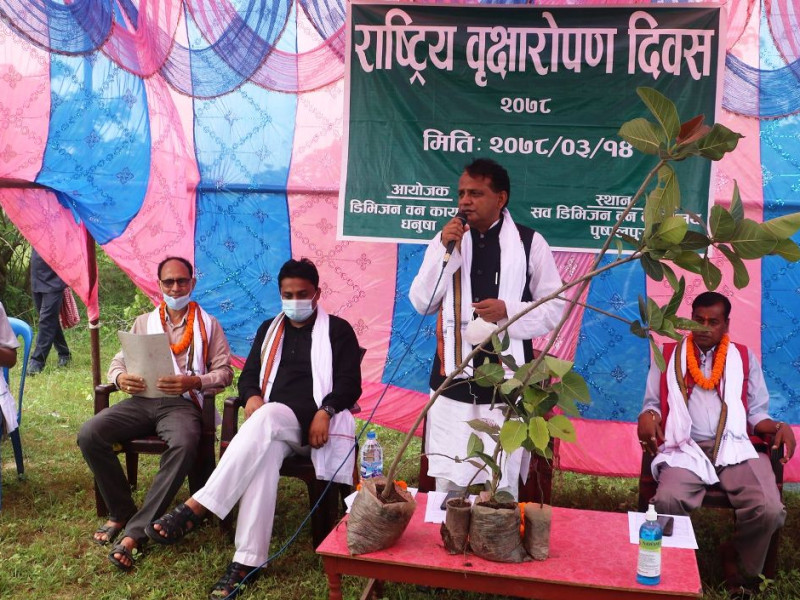 प्रदेश २ मा ‘प्रदेश हरित अभियान’ को शुभारम्भ, साढे १४ लाख बिरुवा रोपिने