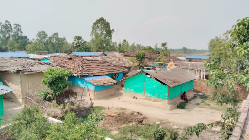दशक अघि खुला दिसामुक्त घोषणा, मुसहर बस्ती अझै शौचालयविहीन