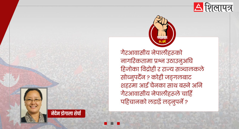 गैरआवासीय नेपालीको बकपत्रः  टाउकाको मोल तोक्ने र लुक्ने सरकारमा हुने, हामीले चाहिँ पहिचानको लडाइँ लड्नुपर्ने ?