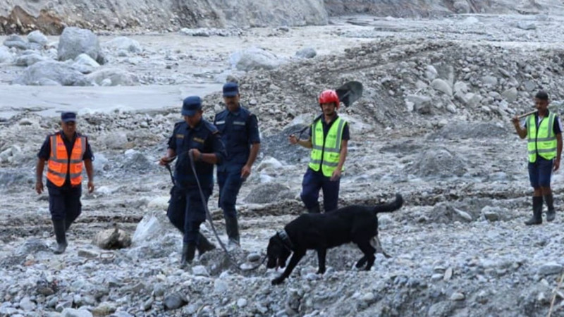 भग्नावशेषको जटिल खोजलाई सम्भव बनाइरहेका यी चारखुट्टे उद्धारकर्मी