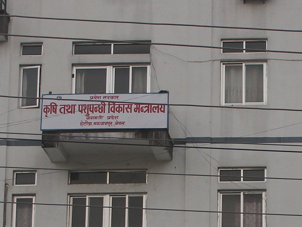 नयाँ योजनामा रकमान्तर गर्न बागमतीको कृषि मन्त्रालयले फिर्ता माग्यो खर्च हुन नसक्ने बजेट