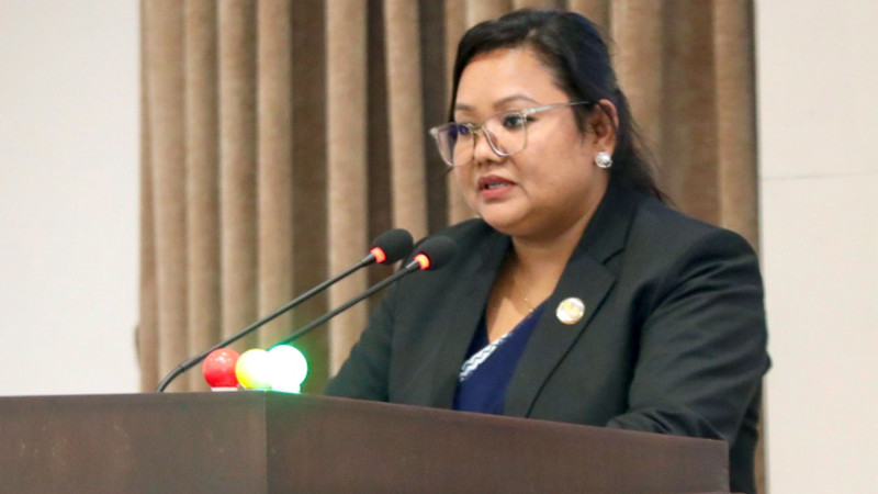 प्रतिनिधिसभामा विनियोजन विधेयकमाथि मन्त्रालयगत छलफल सुरु
