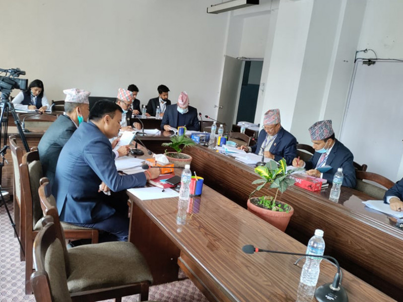 बीमा कम्पनीमा स्वतन्त्र सञ्चालक अध्यक्ष हुन नपाउने