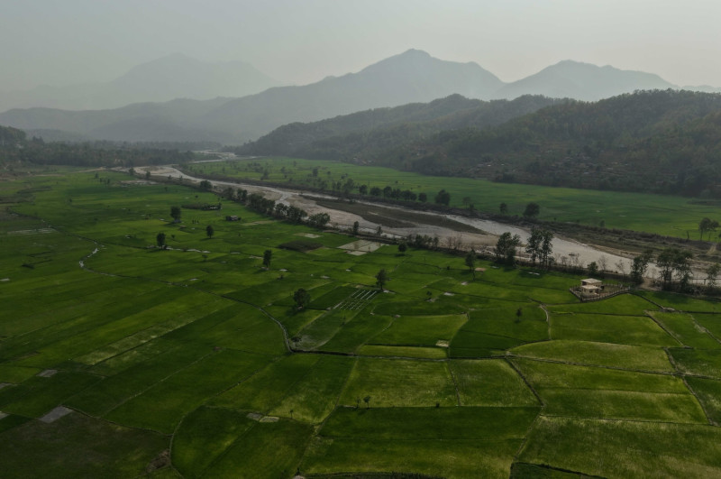 चैते धानले हरियाली दरौँदीका फाँटहरू (तस्वीरहरू)
