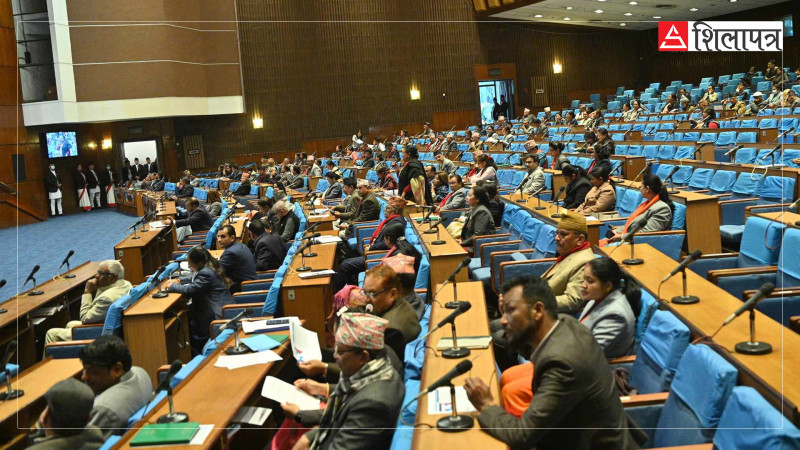 सांसद न्यौपानेको प्रश्नः सिंहदरबारमा हाफपाइन्ट र चप्पल लगाउने सर्वसाधारणलाई किन प्रवेश दिइएन ?