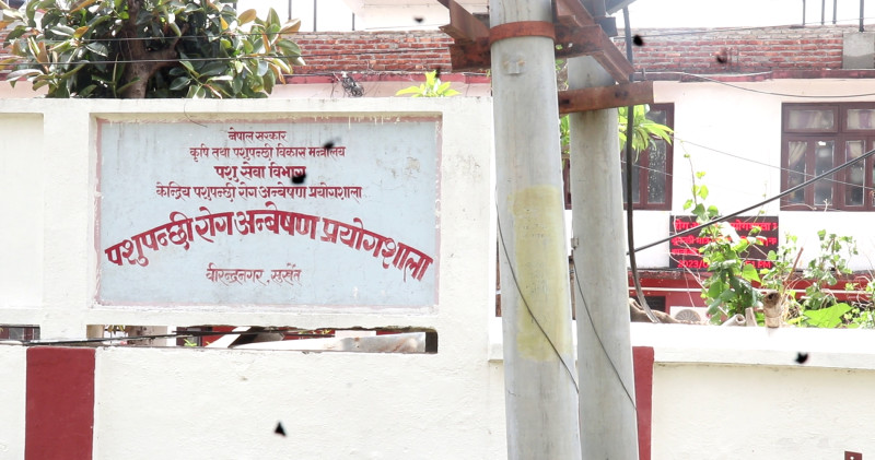 संघीय सरकारले बजेट नदिँदा बन्द हुने अवस्थामा कर्णालीको पशुपन्छी रोग अन्वेषण प्रयोगशाला