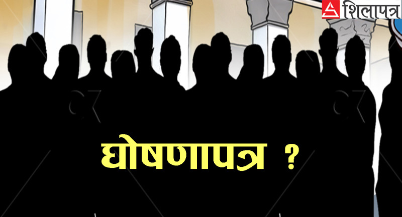 चुनावमा दलका एजेन्डा के–के हुनुपर्छ ?