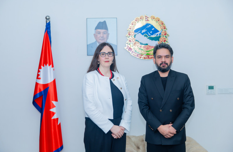 प्रधानमन्त्री शाहसँग अमेरिकी कार्यवाहक राजदूत बोल्डिनको शिष्टाचार भेट