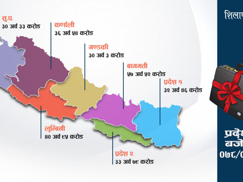 प्रदेशको बजेट २ खर्ब ६१ अर्ब मात्रै : बागमतीमा अभिभावकविहीन बालबालिकालाई भत्ता, कर्णालीमा निःशुल्क शिक्षा