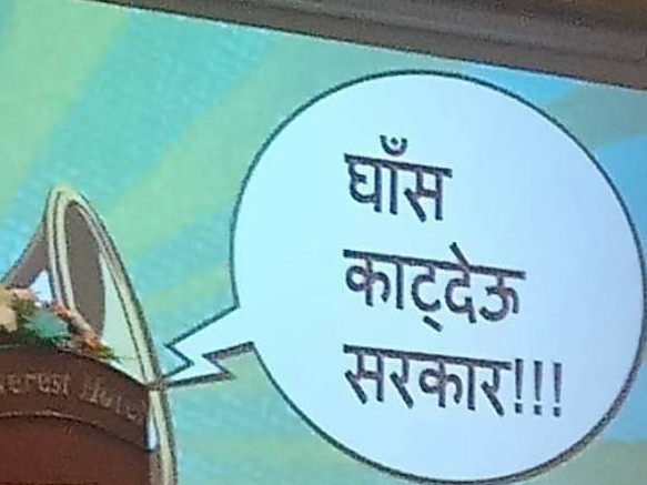 सरकारसँग क्याप्टेनहरूको माग- घाँस त काटिदिनुस्