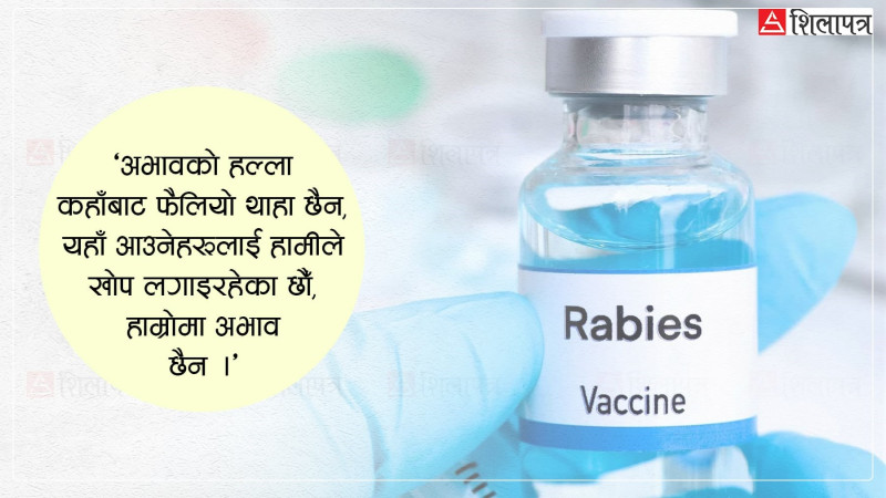 सरकारसँग झण्डै साढे १० हजार रेबिजको खोप मौज्दात, कसरी गरिँदै छ खोप व्यवस्थापन ?