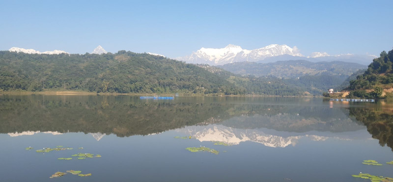 वार्षिक ५० लाख रुपैयाँबराबरको माछा खान रूपा ताल आइपुग्छन् पाहुना चरा