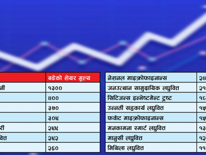 नाटकीय रूपमा बढेको शेयरबजारमा एकै दिन ४३ कम्पनीको शेयरमूल्यमा सर्किट, यी कम्पनीले कमाए