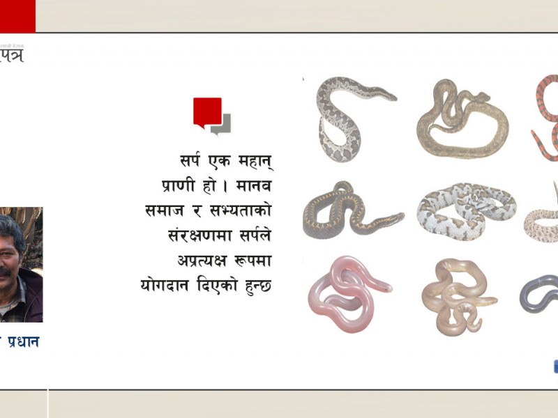 सर्प एक महान् प्राणी, मुसा घातक जीव