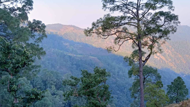 बर्दिया राष्ट्रिय निकुञ्जमा सिकार खेल्न गएका सुर्खेतका ६ जना सम्पर्कविहीन, एक जनाको मृत्यु भएको आंशका
