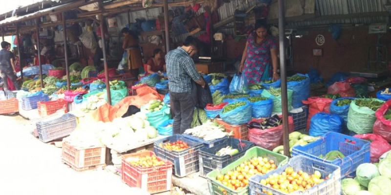 किसानको हात पुर्पुरोमा, अनुगमन संयन्त्र कुन दुलोमा ?