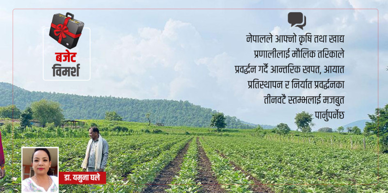 अबको बजेटमा सरकारले कृषिक्षेत्रका यी १२ बुँदालाई प्राथमिकता देओस्