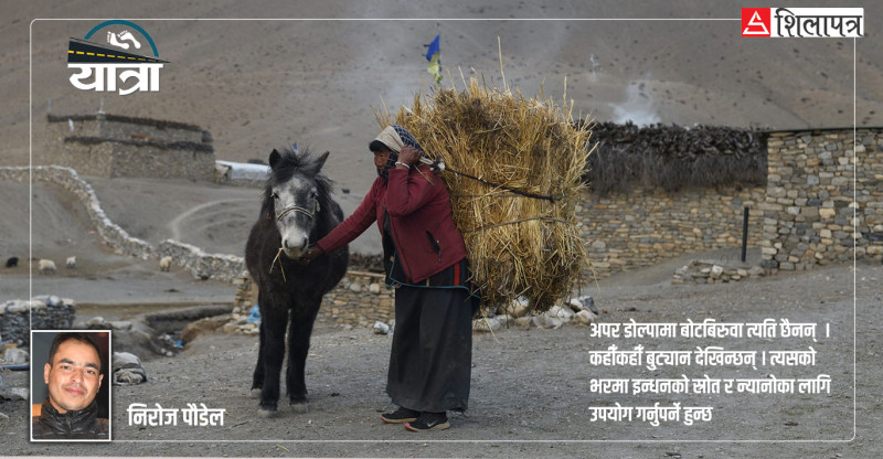 अपर डोल्पालाई एक फन्को