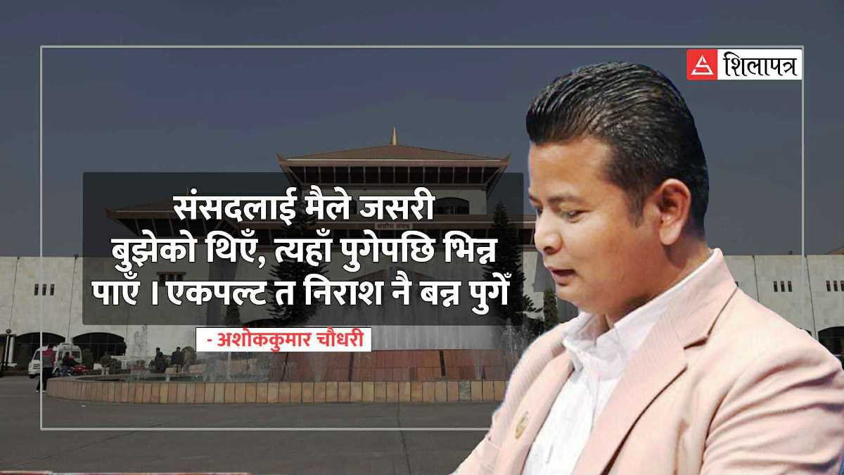 मैले बुझेको संसद र भोगिरहेको संसद