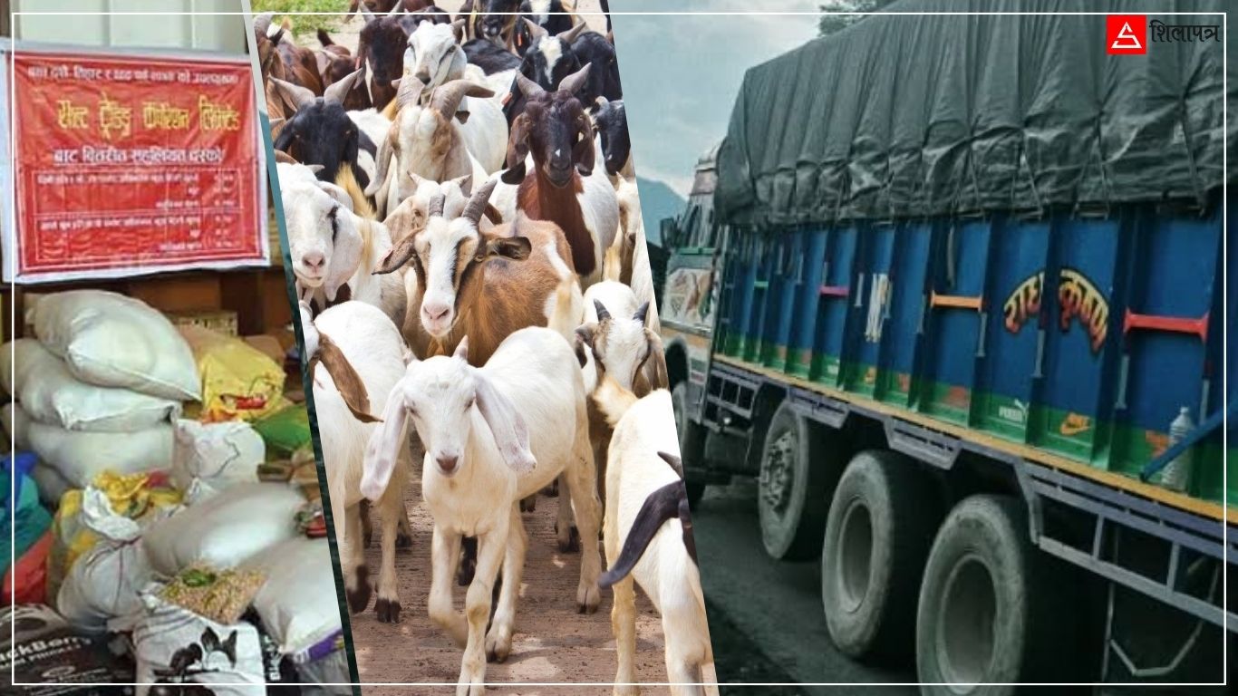 कृष्णभिरले भत्काएको सरकारी सप्लाई चेन : आउने छैनन् खसीबोका, महँगोमा दसैँ
