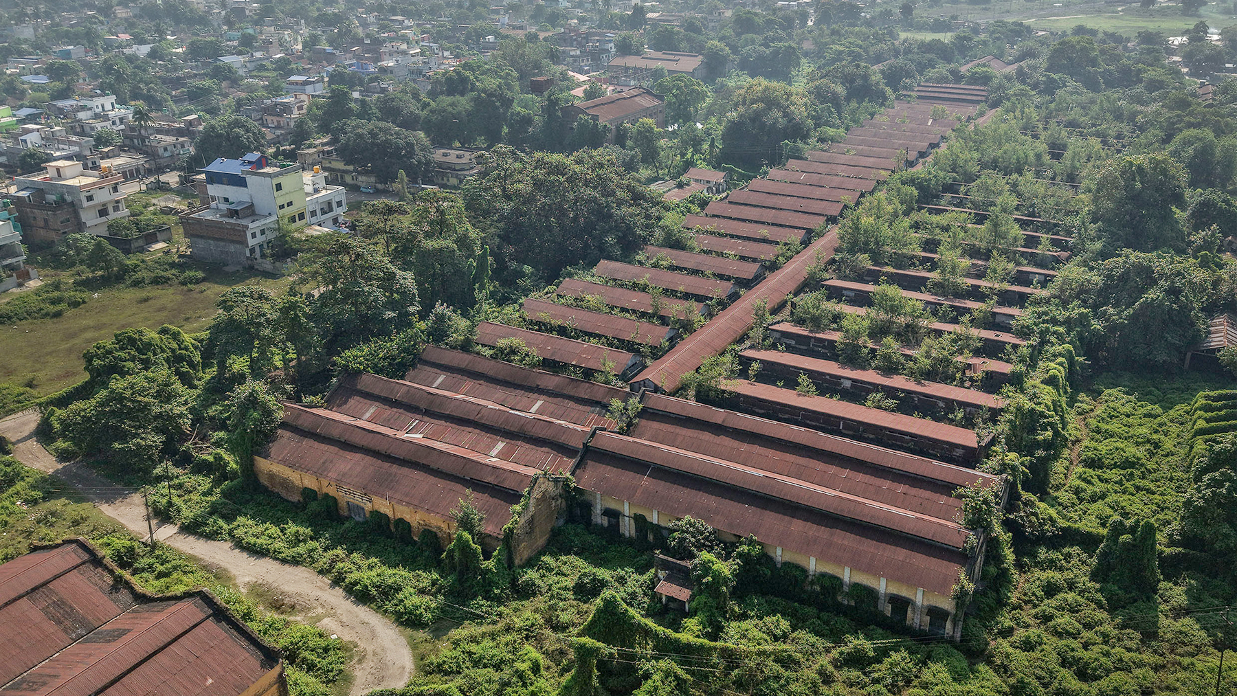 तस्वीरमा इतिहास बोकेको खण्डहर विराटनगर जुट मिल