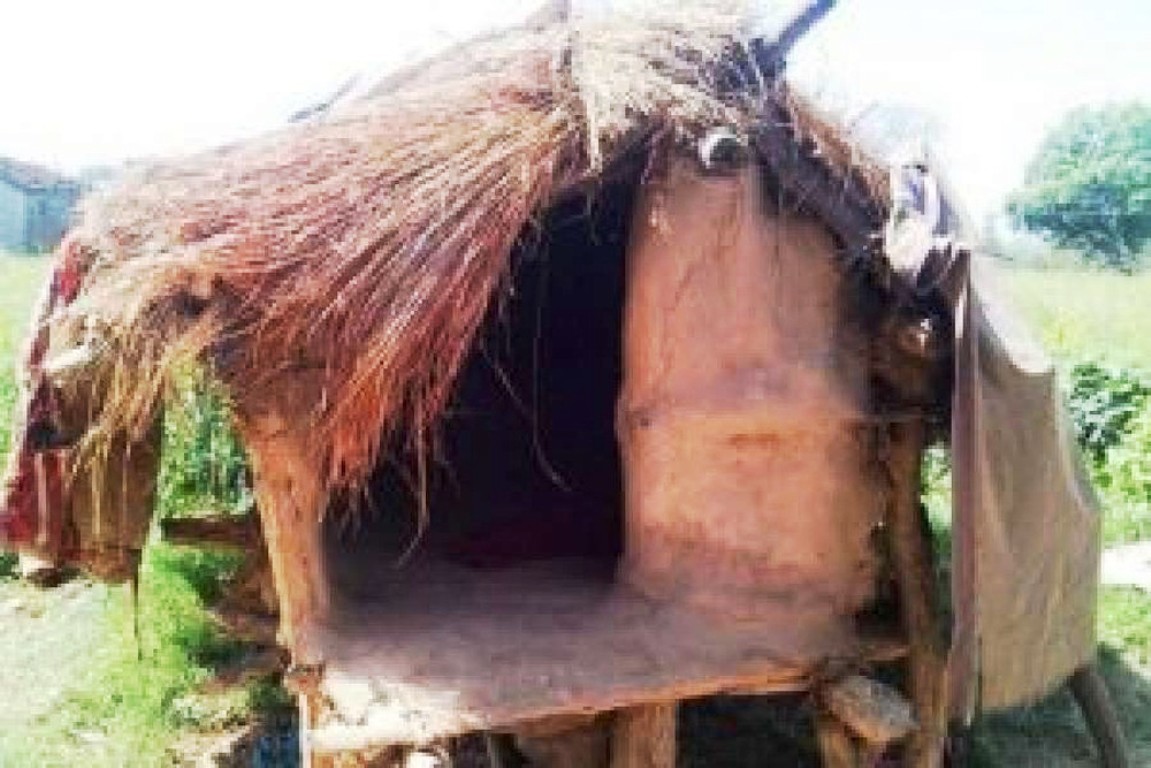सर्पले डसेर युवतीको मृत्युपछि १५ दिनभित्र छाउगोठ हटाउन निर्देशन
