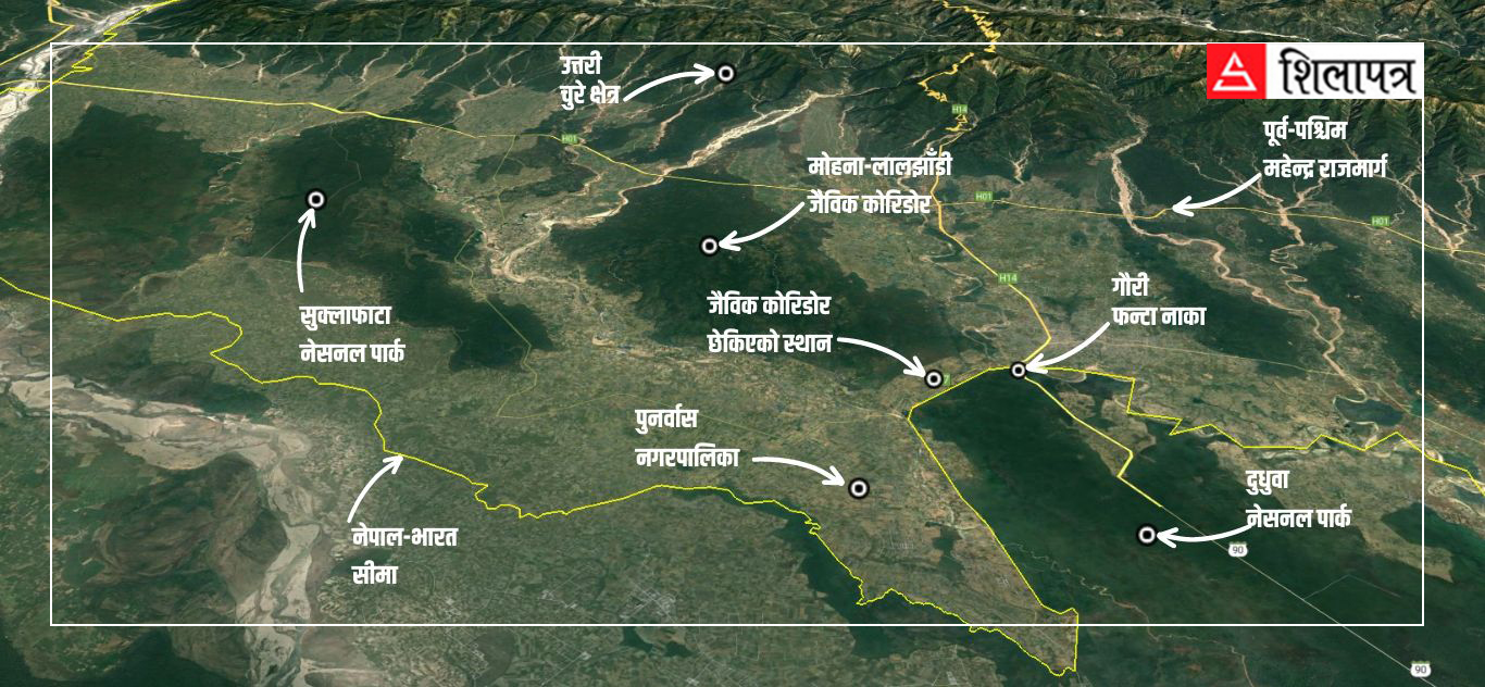 कैलाली-कञ्चनपुरमा बढ्दो मानव-वन्यजन्तु द्वन्द्वः जमिनदारबाट मुक्त भइयो, जनावरबाट कसरी हुने ?