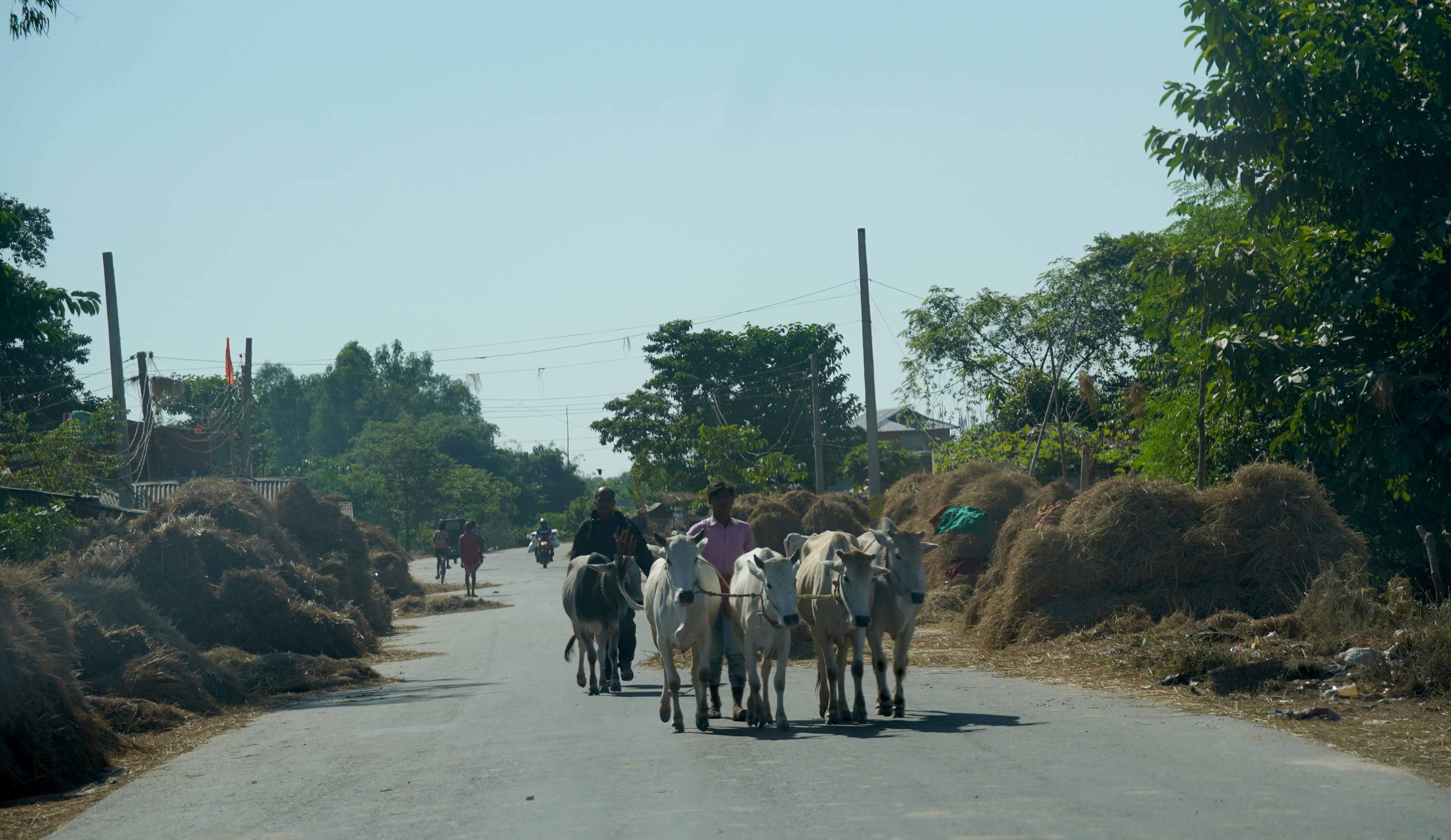 हुलाकी राजमार्ग १५ वर्षमा सकिएन, बजेटको चरम अभाव 