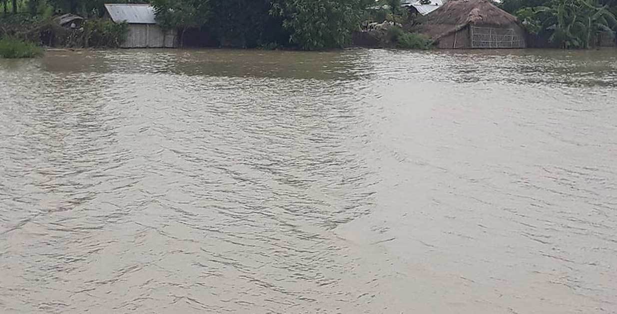 सप्तरीमा ४ हजार हेक्टर धानबाली डुबान