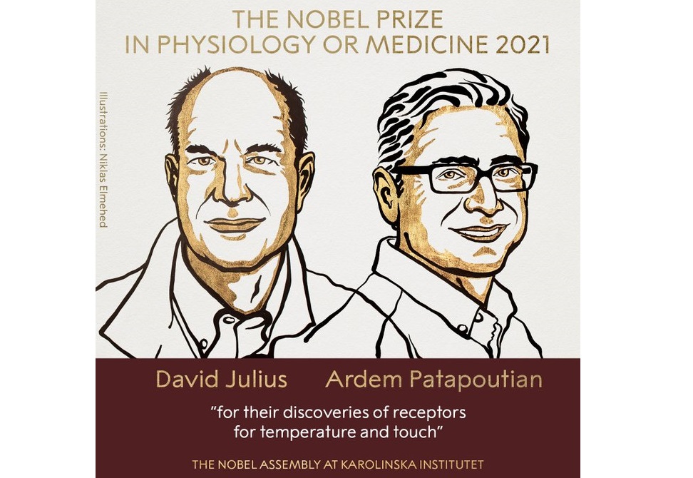सनसनीपूर्ण खोजका लागि दुई अमेरिकीले पाए चिकित्सातर्फको नोबेल पुरस्कार