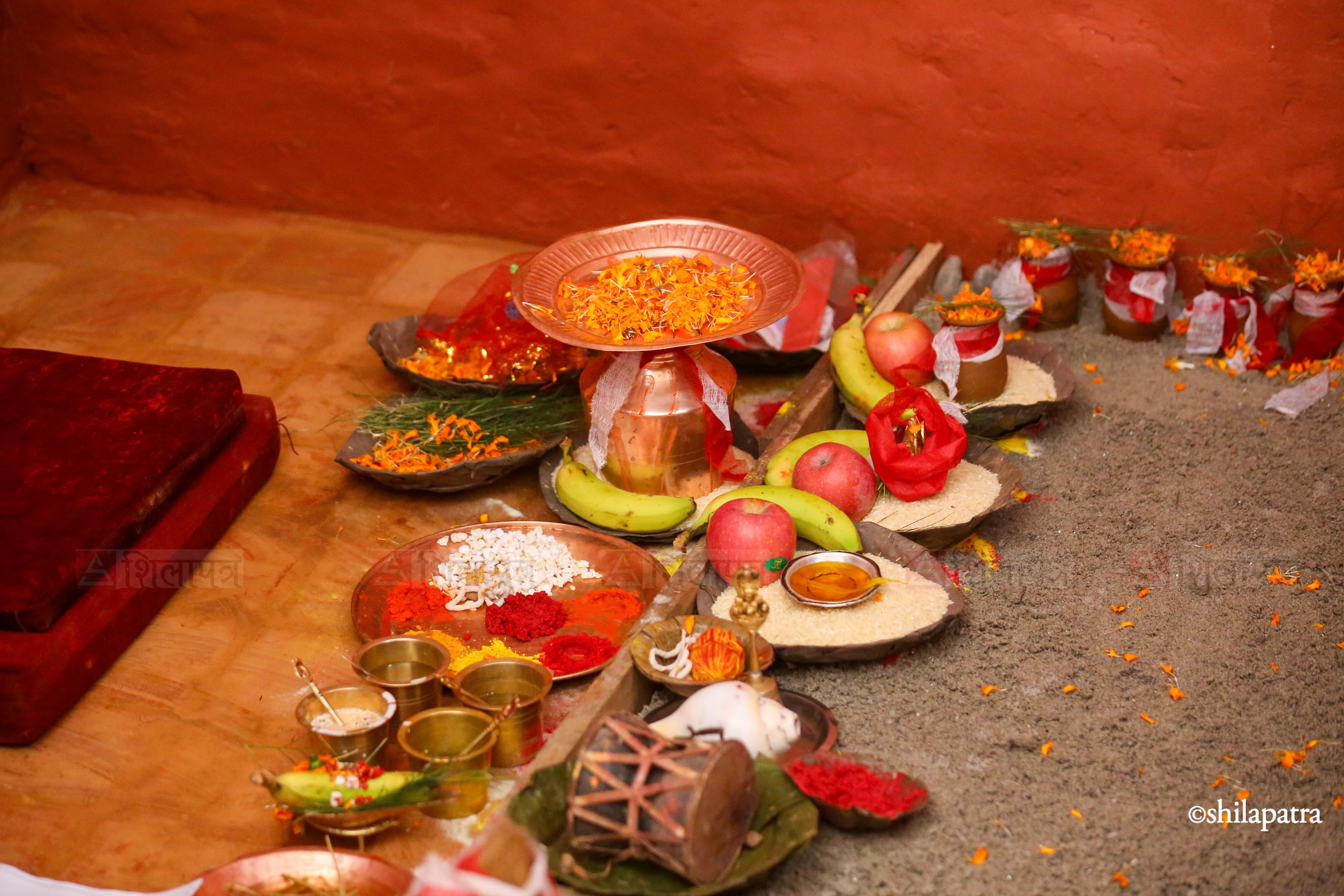 हनुमानढोकाको दसैँघरमा राखियो जमरा (तस्वीरहरू)