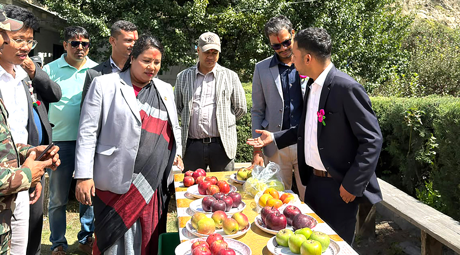 मुस्ताङमा हाइब्रिड स्याउ उत्पादनका लागि बायोटेक्नोलोजिस्टको दरबन्दी थपिने